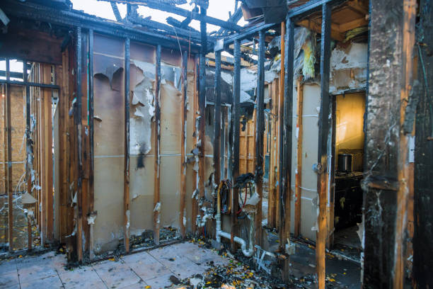 Professional Fire Damage Removal technician working in Baldwin, FL